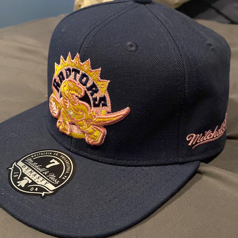 Brand New 20th season Toronto Raptors hat